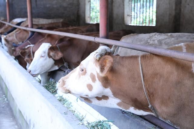 永胜这个国家级贫困县计划2019年脱贫摘帽!