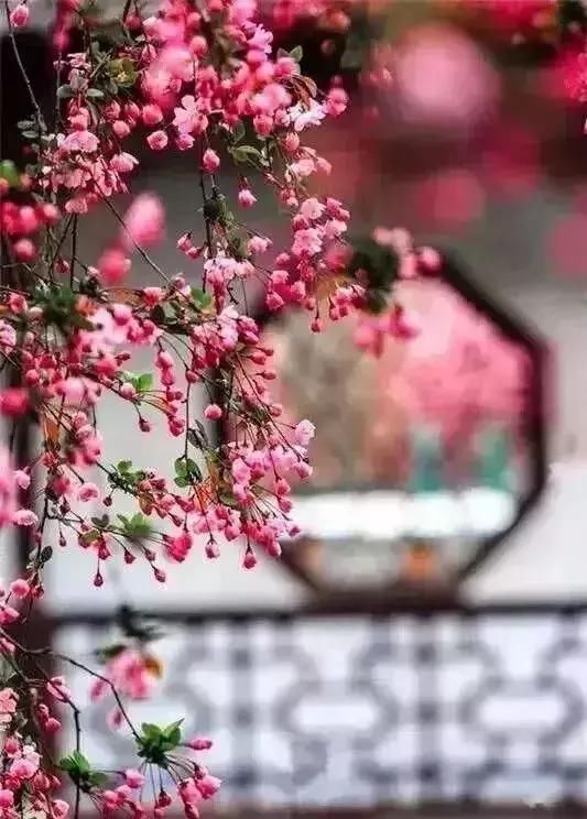 清朝满族姓氏与现代相对应之赫舍里氏:高,赫,张