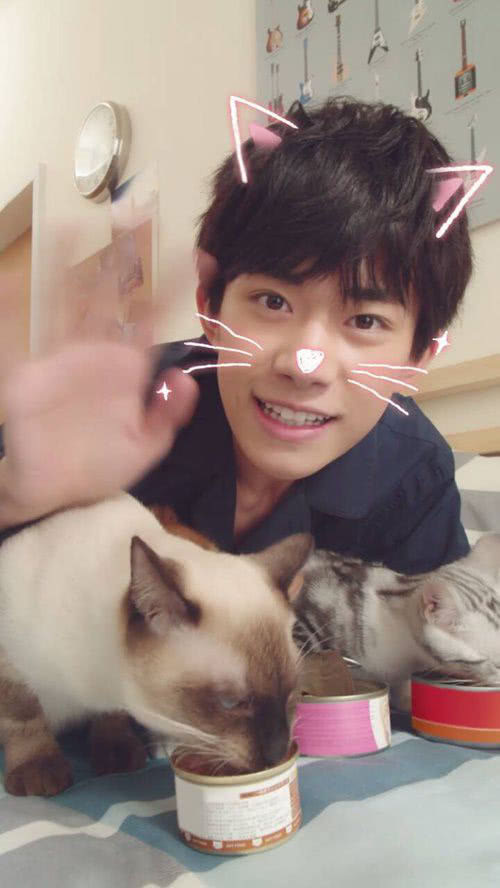 杨幂深蹲撸猫少女心十足 网友却评论快把手机