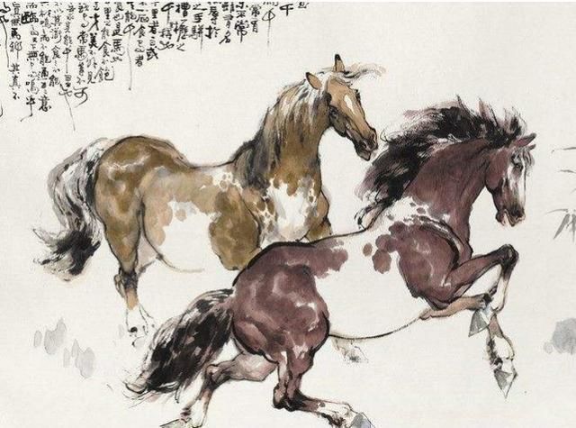 人生一世,草木一秋:66年马什么时候可以享清福