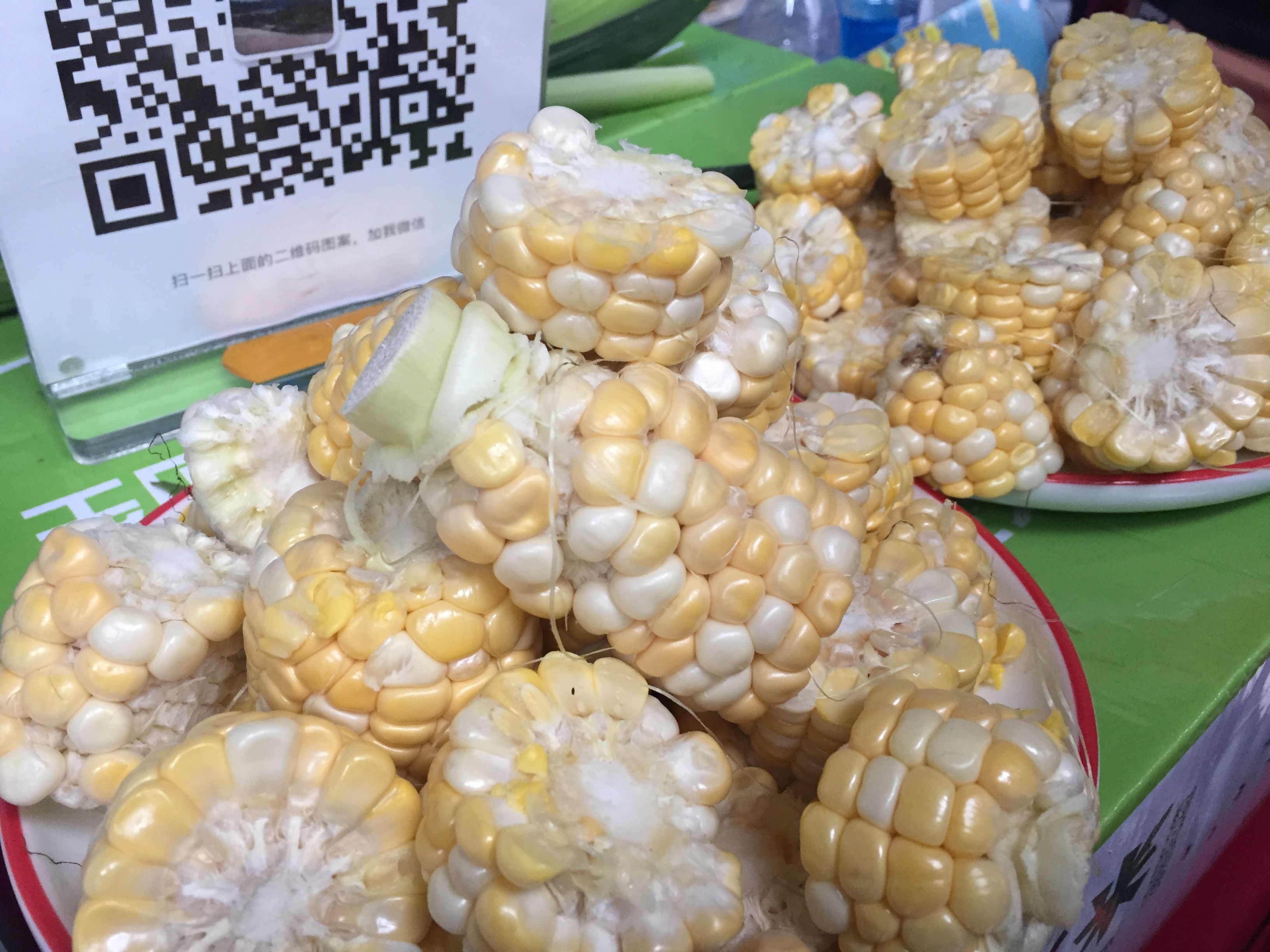 今天是中国旅游日,刚刚被评为中国最宜居气候