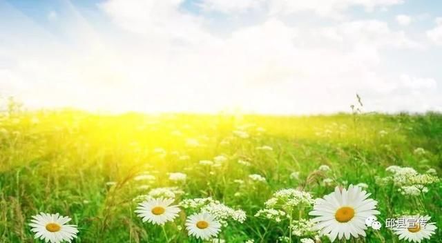 天气早知道邱县六月份这几天有雨,点进来看…