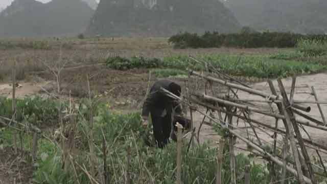 历经磨难却充满阳光 这样的韦绍兰令人钦佩