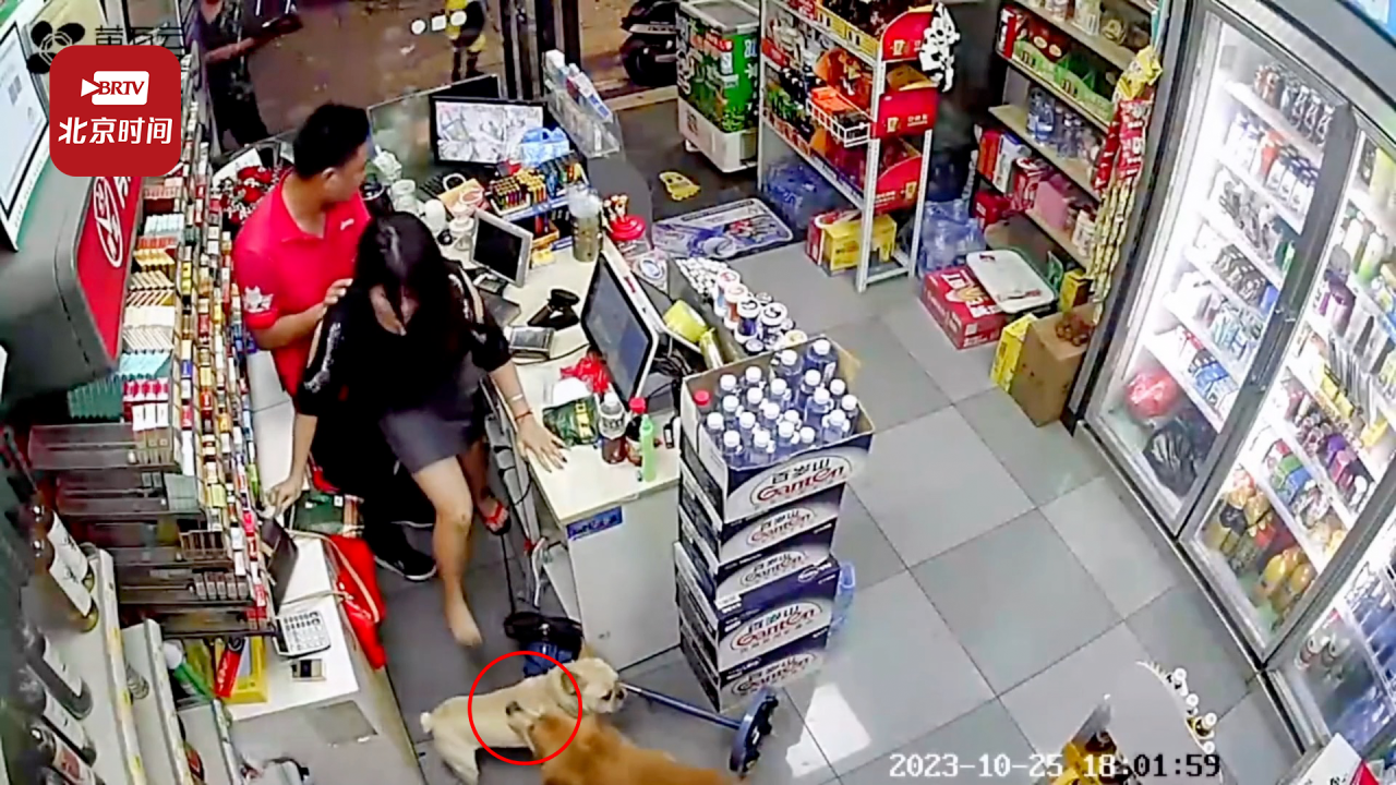 无人看管金毛闯进路边超市撕咬店内法斗