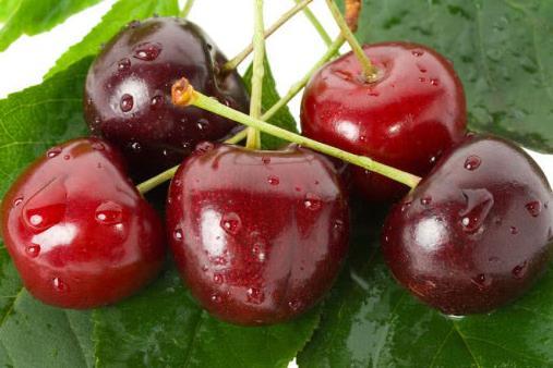 减肥晚餐就吃这5种水果,不仅美容养颜,还让你