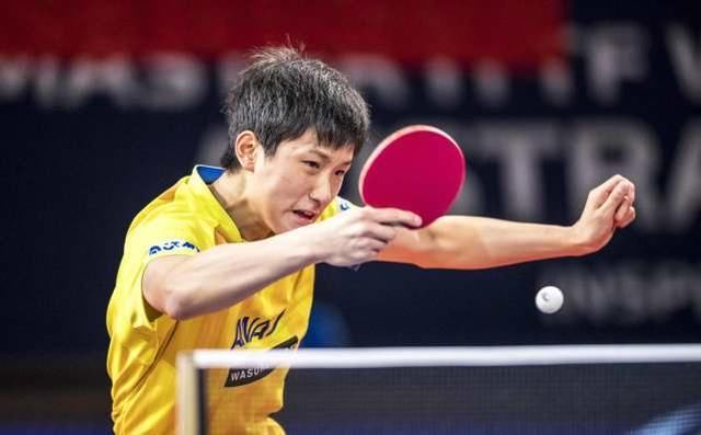 国际乒联最新排名男 t018761a7e11836b45b.jpg?size=640x397