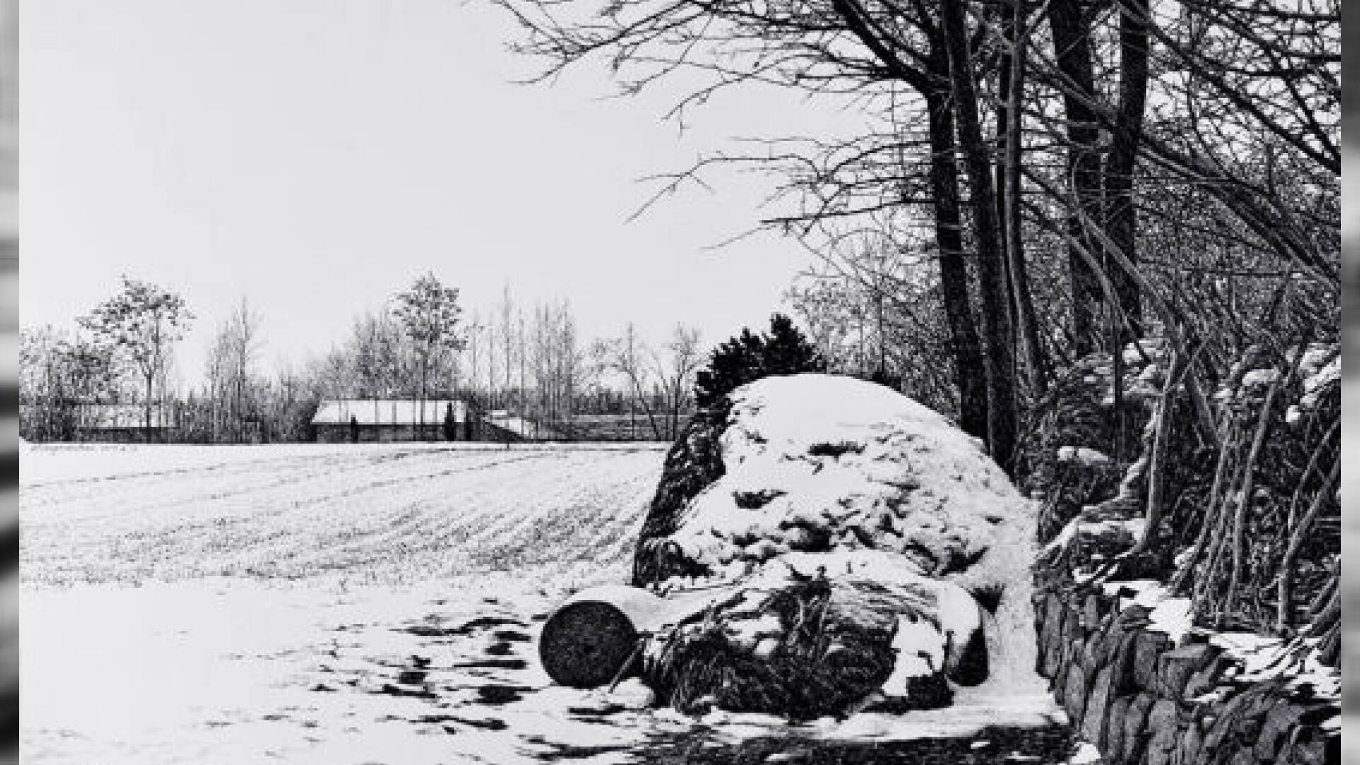 钢笔画名家张军朝——被称为中国版的"梵高"