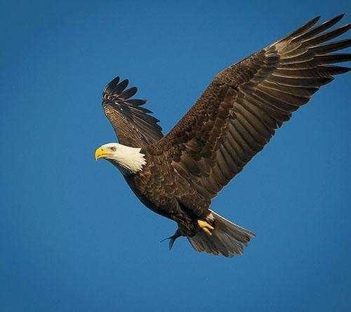 拼多多上市与个人做 拼多多 无货源开店有何共