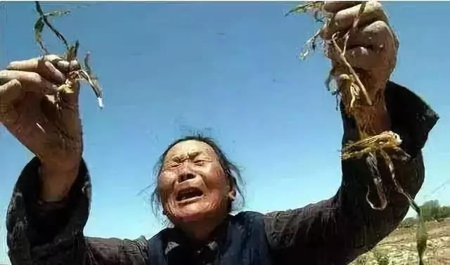 2018是什么原因令农产品集体滞销卖不出去?