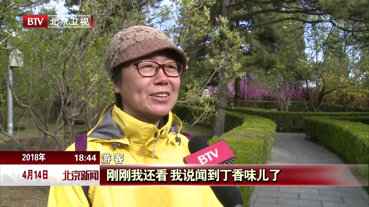 游北京戒台寺赏丁香文化