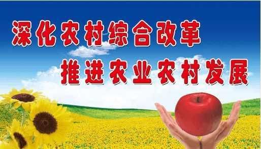 2018农村改革经济发展新政策,未来村干部薪资