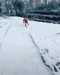 搞笑GIF:终于明白为什么喜欢打篮球的小哥哥都