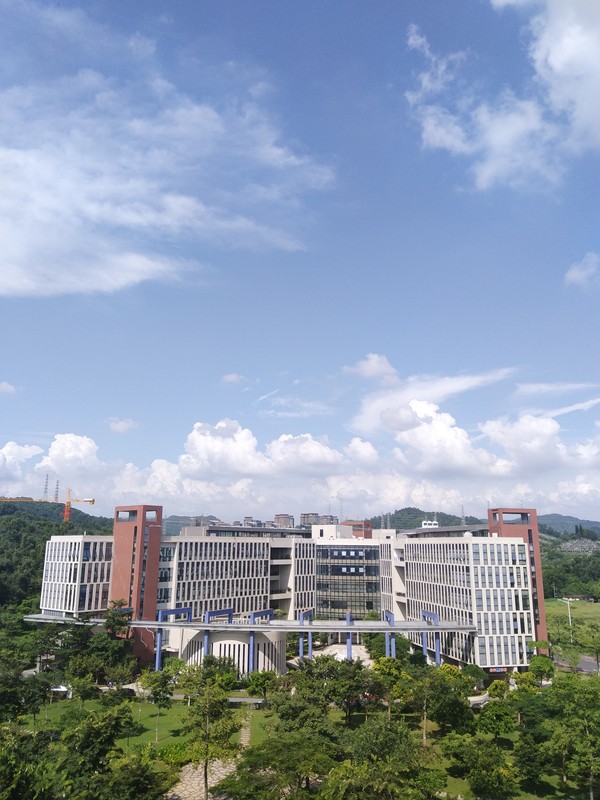 夏普AQUOS S2拍照体验:对焦快、大光圈虚化