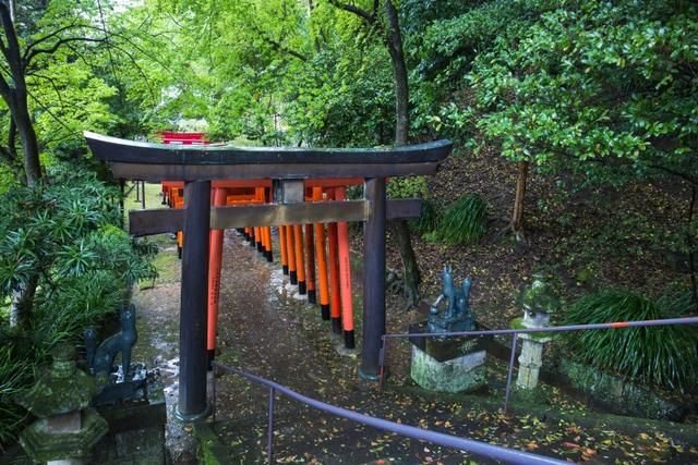 那么多中国人喜欢去日本旅游,是哪里太吸引人