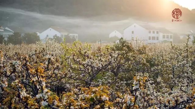 点赞!苏州4村新入选江苏最美乡村,占了近半壁