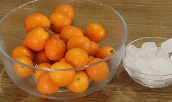 不管是寒咳热咳,金桔加它一起煮,大人小孩吃了