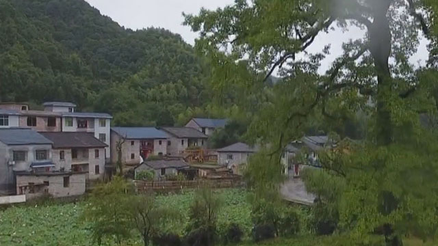 《寻踪英雄路》挺进井冈山 《寻踪英雄路》挺进井冈山