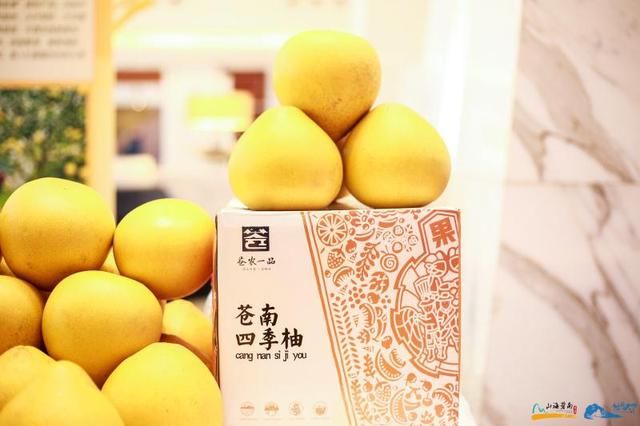 诗画浙江山海苍南苍南全域旅游推介会圆满举