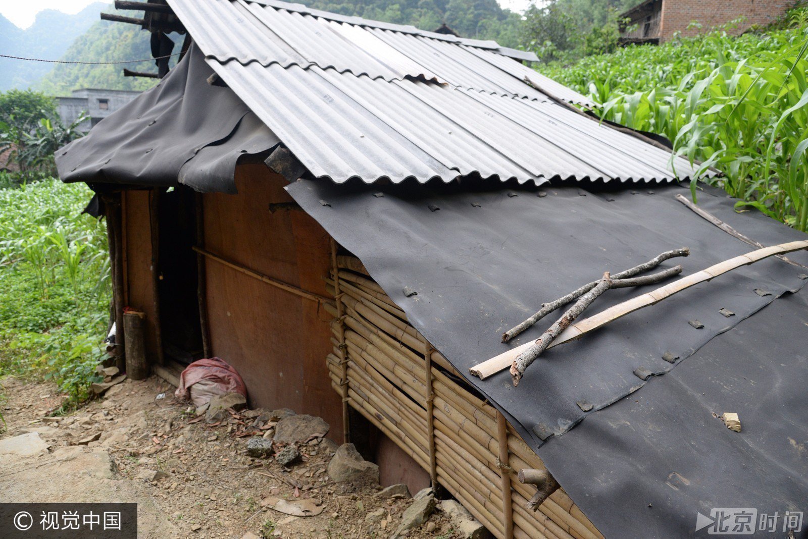 一家五口挤在一间破草房里 她说她很想念天堂的父亲