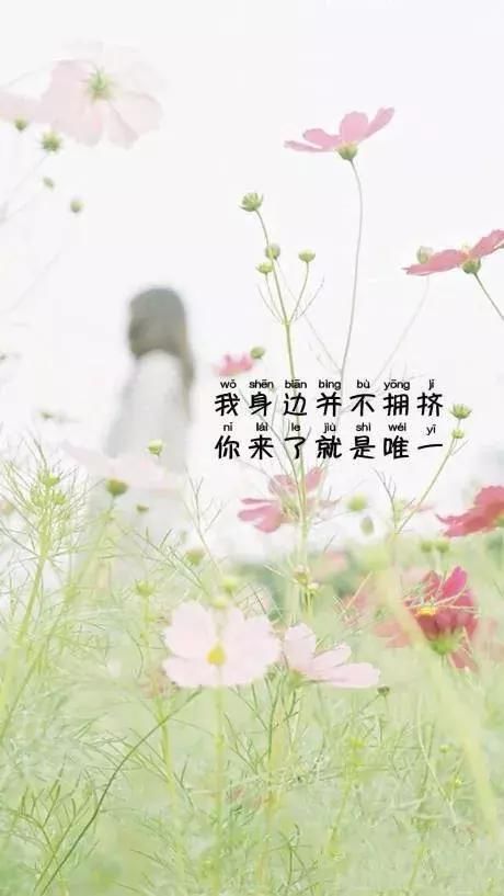 适合发朋友圈的经典短句子,句句触碰心灵的说