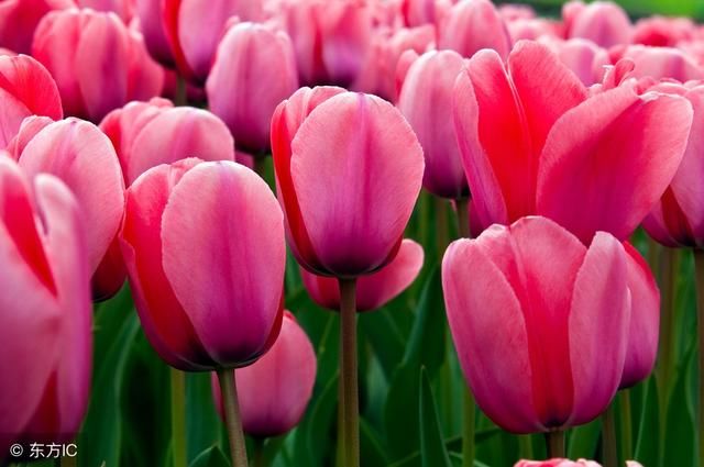 我们在股票里跌的钱去哪里了?究竟是谁拿走了