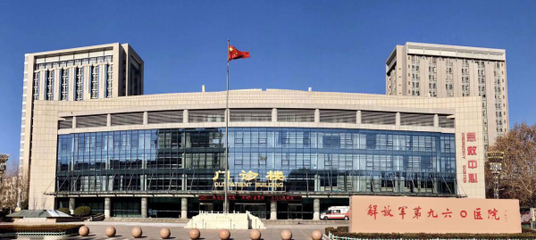 包含中國人民解放軍第四五一醫院黃牛排隊掛號，的詞條