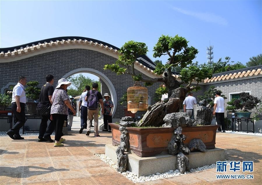 7月11日，游客在南粤园参观。 当日，2019年中国北京世界园艺博览会“广东日”活动在北京世园会园区举行。