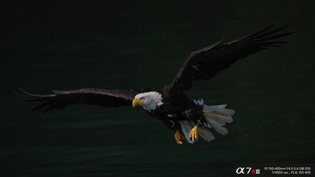 【相机介绍】索尼全画幅微单相机a7r3享受畅快