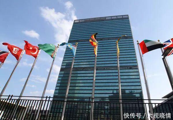 网红拿中华民国护照闯联合国总部,结果很联合