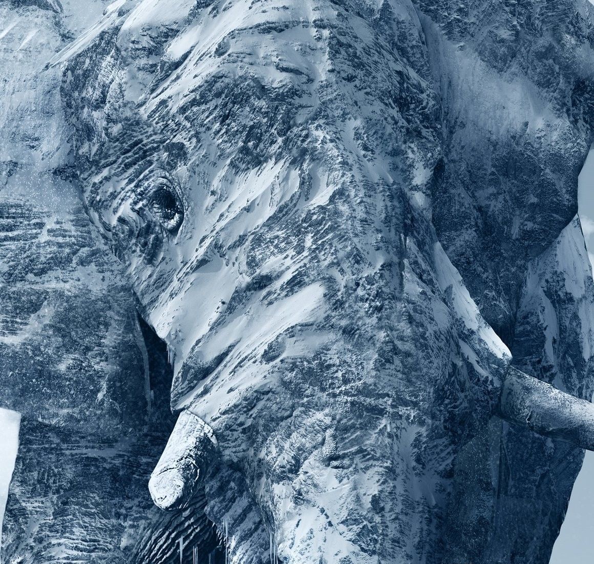 设计师把冰山放进大象身体里,像海贼王里面千年的大象,巨大无比