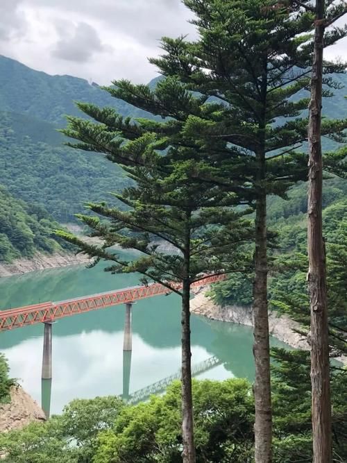 静冈富士周游记之第二天:什么忍野八海?这里才