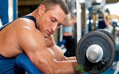 怎样练肌肉效果好