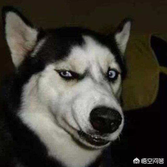 健身该怎么去安排锻炼部位的顺序?