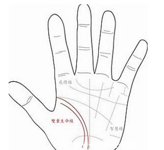 有两条生命线的手相,必定是长寿之人