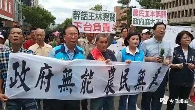 农民聪明种 政府笨蛋销!民进党铁飘票区破窗 2