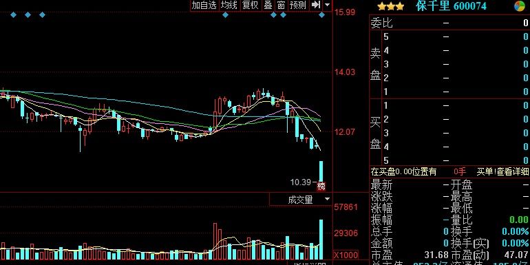 A股借壳造假上市,停牌调查,竟被机构强烈推荐