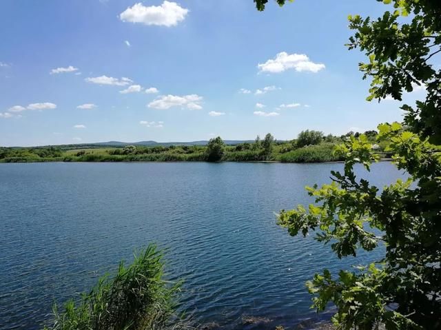 俄罗斯克拉斯诺达尔系列优惠政策迎粤商