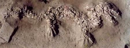 五爪为尊 中国古代龙的炼神之路