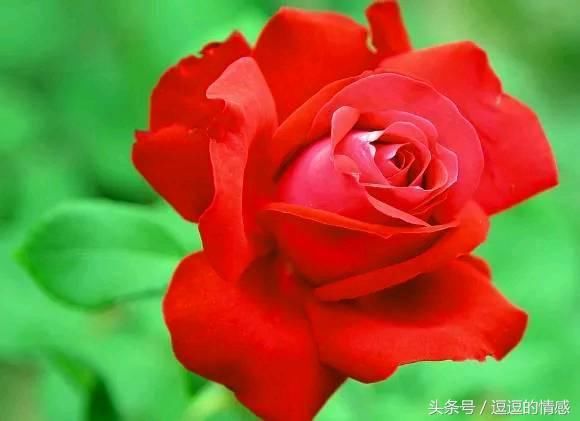 我们要做成熟智慧但不圆滑世故的人