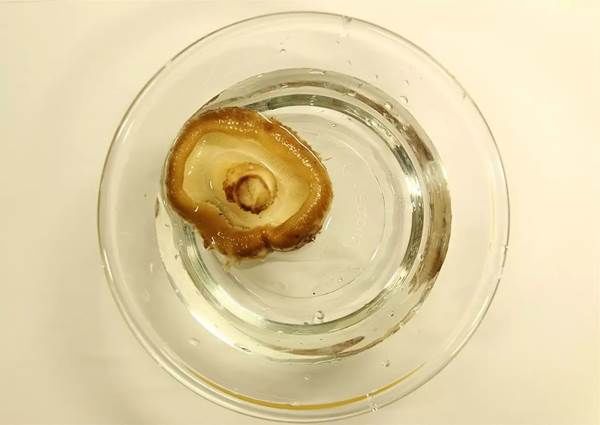 健胃消食松软蔬菜小饼制作方法,适合8个月以上