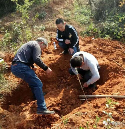 河市镇奋力攻坚坟墓迁移工作