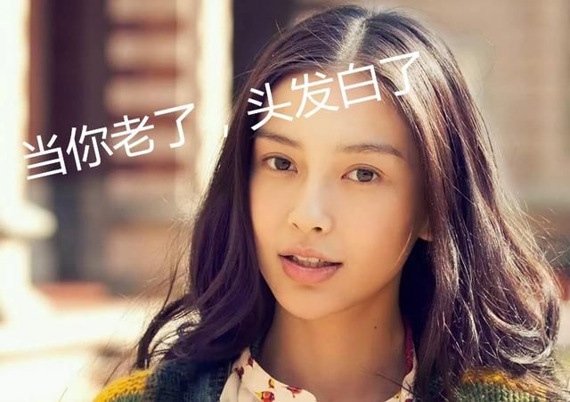 杨颖女士求你好好上综艺吧!《梦想家》开机,杨