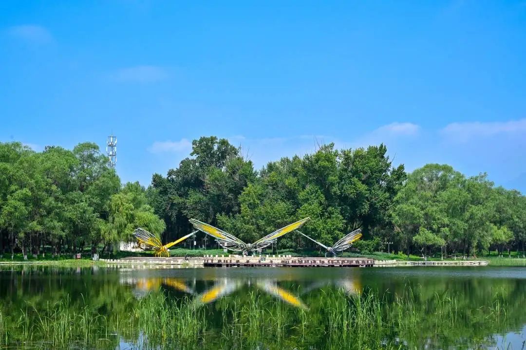 漫步踏青啦!延庆区各大公园有序恢复对外开放~_北京时间