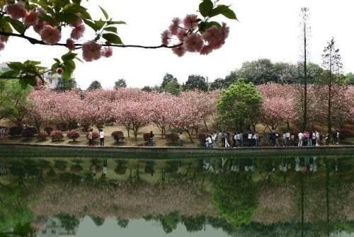 湖南最好的4所大学,第一所比清华北大还难考,