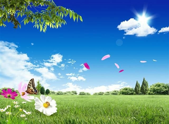 双色球:相信这是一注中球率会比较高的号码组