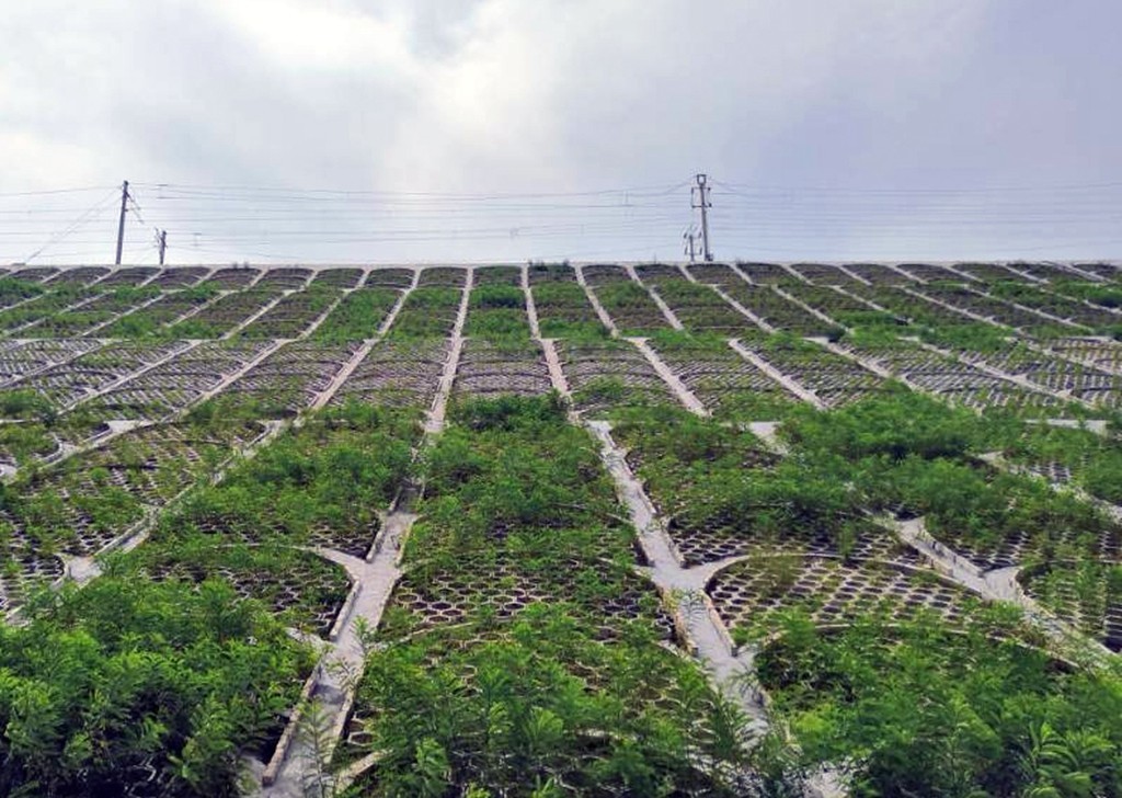 中铁五局四公司临县北项目年度综合排名第一获