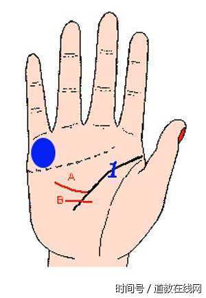 手抓财,纹看运,手上有这几种纹路,预示财运好,命中能成大事! 手抓财,纹看运,手上有这几种纹路,预示财运好,命中能成大事!