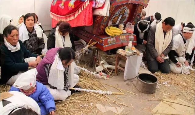 老人被扫地出门流落街头,中大奖后三个孩子像"狗"一样忠厚