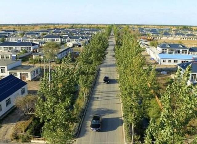 打赢乡村振兴战略第一场攻坚战,辽宁从六方面