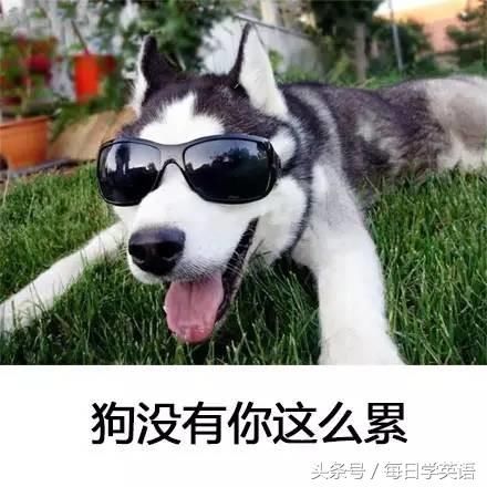 语音版:如何用英语优雅地说累成狗?